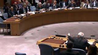 Raw Israel Palestinians in UN shouting match [upl. by Iphigenia503]