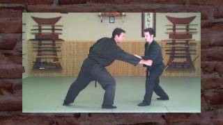 SAN SHIN NO KATA Beyond Basic Forms BujinkanNinjutsu [upl. by Hess802]