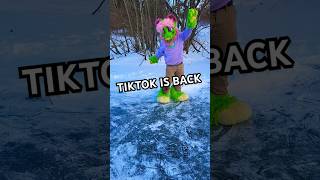 TikTok ban and Furries React furrymemes tiktok [upl. by Yentihw208]