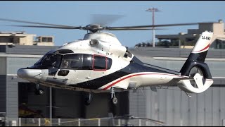 Luxurious Airbus Helicopters Eurocopter EC155 3AMBD Monacair landing at Cannes airport LFMD [upl. by Dirrej]