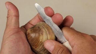 How to Open Clams [upl. by Dorolice]