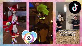 Furry TikToks Compilation 17 [upl. by Gwenette]