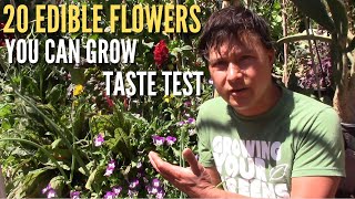 20 Edible Flowers You Can Grow amp Eat Taste Test [upl. by Eerot]