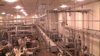 Tillamook Cheese Factory Tour Tillamook Oregon See Cheese Packaged [upl. by Gertie390]