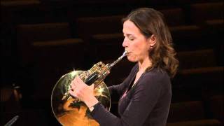 Berliner Philharmoniker Master Class  Horn [upl. by Helga]