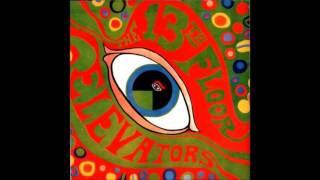 The 13th Floor Elevators  Your Gonna Miss Me [upl. by Ibbob]