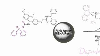 Fmoc Solid Phase Peptide Synthesis [upl. by Crosley]