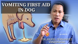 VOMITING DOG  FIRST AID  Mga Dapat Gawin Kapag Nagsusuka Ang Aso [upl. by Margret]