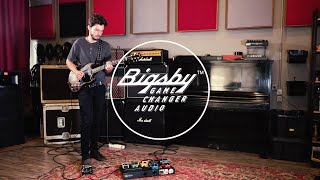 BIGSBY Pedal Jam Nr1  Gamechanger Audio  Rudolfs Ozols [upl. by Malvina]