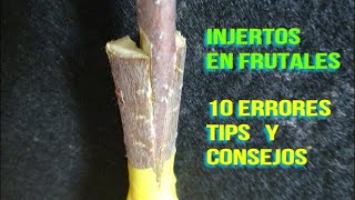 Injertos en FRUTALES  DIEZ ERRORES al injertar Tips y Consejos [upl. by Ytsim]