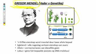 Lewenswetenskappe GR12 Genetika Les2 [upl. by Annetta]