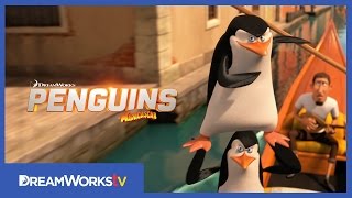 Mission Venice  PENGUINS OF MADAGASCAR [upl. by Atinahs]