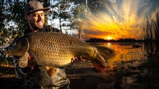 Big carp fishing at Homestead dam  Carp fishing South Africa 2021 [upl. by Tilagram505]