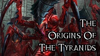 The Origins Of The Tyranids  40K Theories [upl. by Leirbaj437]