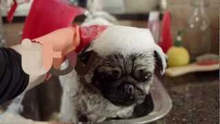 Winter 2013  Ident Pugwash  ITV [upl. by True140]