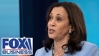 Kamala Harris explains RussiaUkraine crisis in laymans terms [upl. by Grannia424]