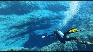 Diving Vortex Springs [upl. by Hudgens]