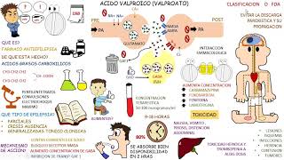 Farmacologia Antiepilepticos VALPROATO [upl. by Virge]