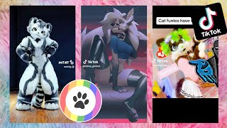 Furry TikToks Compilation 12 [upl. by Harraf808]