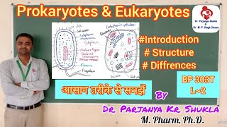 Introduction to Prokaryotes amp Eukaryotes  Differences in Prokaryotic amp Eukaryotic CellsBP 303T L2 [upl. by Lombard147]