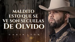 LETRA SECUELAS DE AMOR  Carin León Lyric Video [upl. by Ahsauqal112]