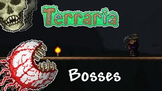 Terraria 14  The Guide to ALL Bosses [upl. by Stevana]