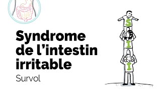 Survol du SII syndrome de l’intestin irritable  Société gastrointestinale [upl. by Loleta]