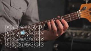 How to Play G ♯  A Flat Major Scale  Bass Guitar [upl. by Rexanne928]