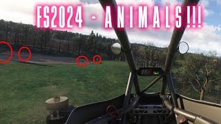 Finding ANIMALS in MSFS2024 [upl. by Fairman]