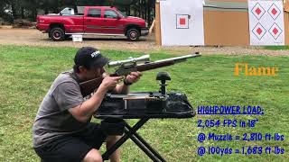 4570 Government 3 Different Loads From Steinel Ammunition [upl. by Ainatit]