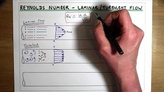 Laminar Flow Turbulent Flow and Reynolds Number [upl. by Haiasi691]