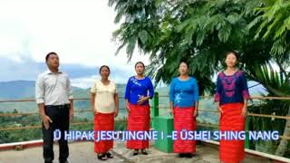 SHÜPSHI HEMSONGS OF GRACE KONYAK SONG [upl. by Beckman687]