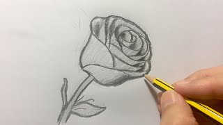 Cómo dibujar una rosa paso a paso [upl. by Pearle]