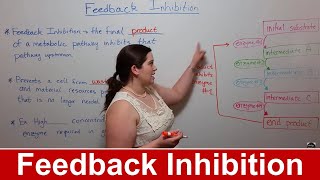 Feedback Inhibition [upl. by Phia]