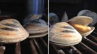 Grilled Clams Recipe  Little Neck Clams How To BBQ Tricks [upl. by Horvitz]