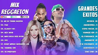 Mix Reggaeton 2023  Karol G Shakira Feid Ozuna Anuel AA  Lo Mas Nuevo 2023  Lo Mas Sonado [upl. by Ayekat]