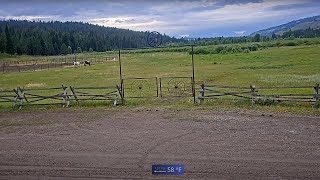 Turpin Meadow Ranch  Near Grand Teton Park [upl. by Silirama561]