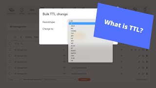 What is TTL and how to manage the TTL values of your records [upl. by Annirtak]