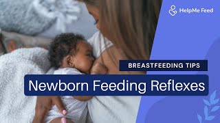 Breastfeeding Tips Newborn Feeding Reflexes [upl. by Camala]