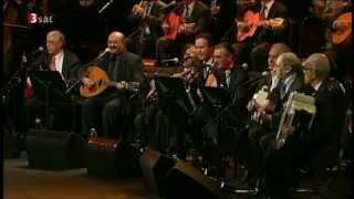 El Gusto Masters of Chaabi Reunite  Ya Rayah  LIve Berlin Jazz Festival  greglloydmusiccom [upl. by Ikciv172]