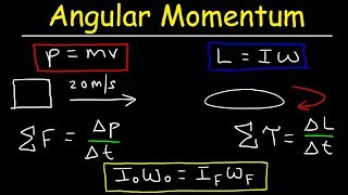 Angular Momentum  Basic Introduction Torque Inertia Conservation of Angular Momentum [upl. by Anita717]