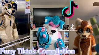 Furry Tiktok Compilation but Its only fursuits [upl. by Belldame260]