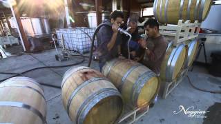 Vine to Wine Winemaking at Naggiar Vineyards [upl. by Goulden]