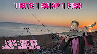 Ray amp Smoothound Hunting  Selsey [upl. by Neehar]