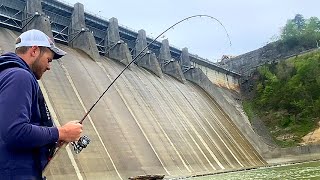 Fishing Below a Massive Dam For Anything That Will Bite [upl. by Yralam]