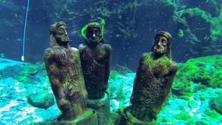 Scuba Diving at Silver Springs Florida [upl. by Eemla]