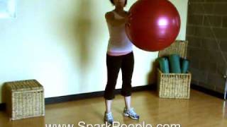 Upper Body Workout with Stability Ball [upl. by Prudi905]