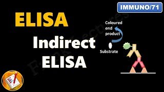 Indirect ELISA FLImmuno71 [upl. by Pedaiah112]