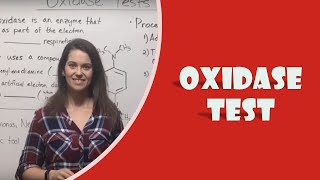 Oxidase Test [upl. by Eidod]