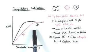 AS Biology  Enzyme inhibition OCR A Chapter 43 [upl. by Alsworth]